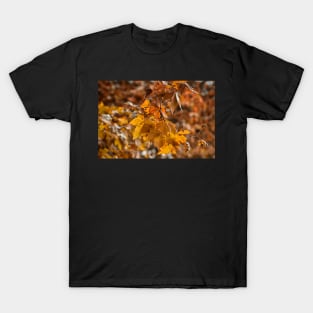 Autumn days T-Shirt